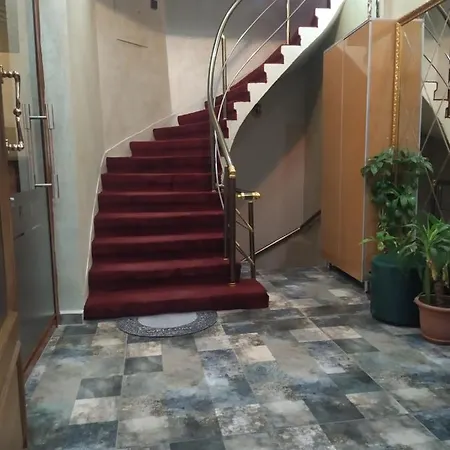 The Moss * איסטמבול